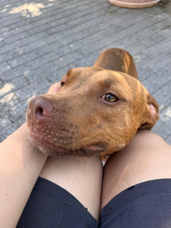 ALMA LA DOLCE Foto 4